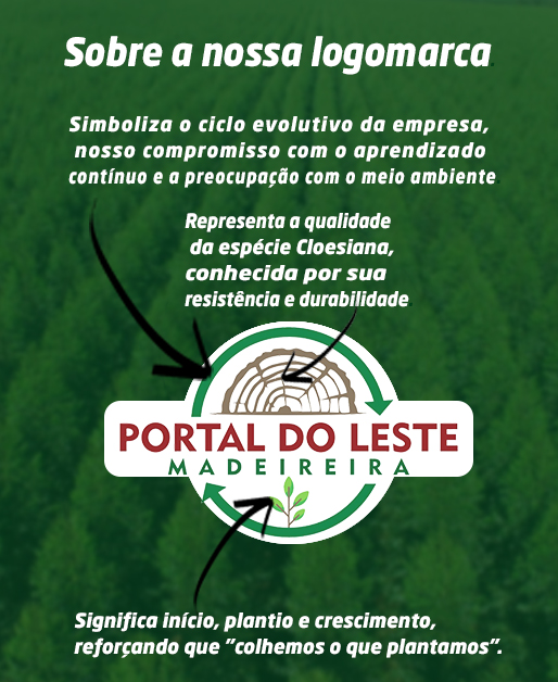 Imagem ilustrativa da Madeireira